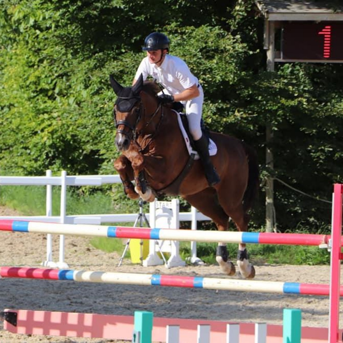 Ryan O’Sullivan Show Update