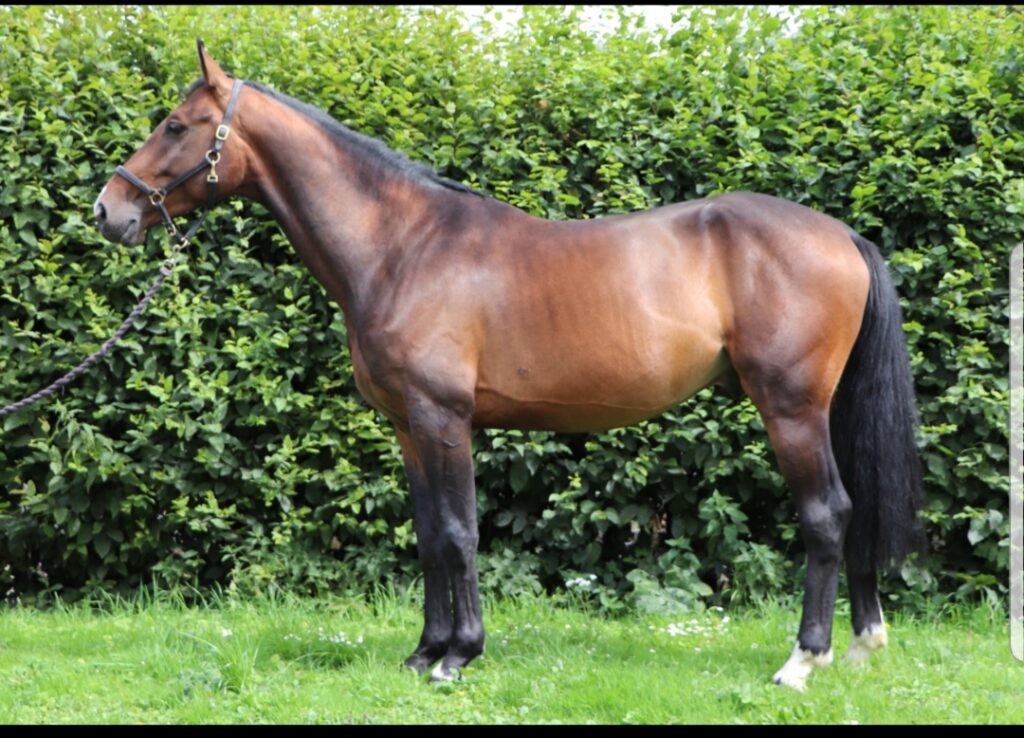 WhatsApp Image 2020 08 12 at 12 47 14