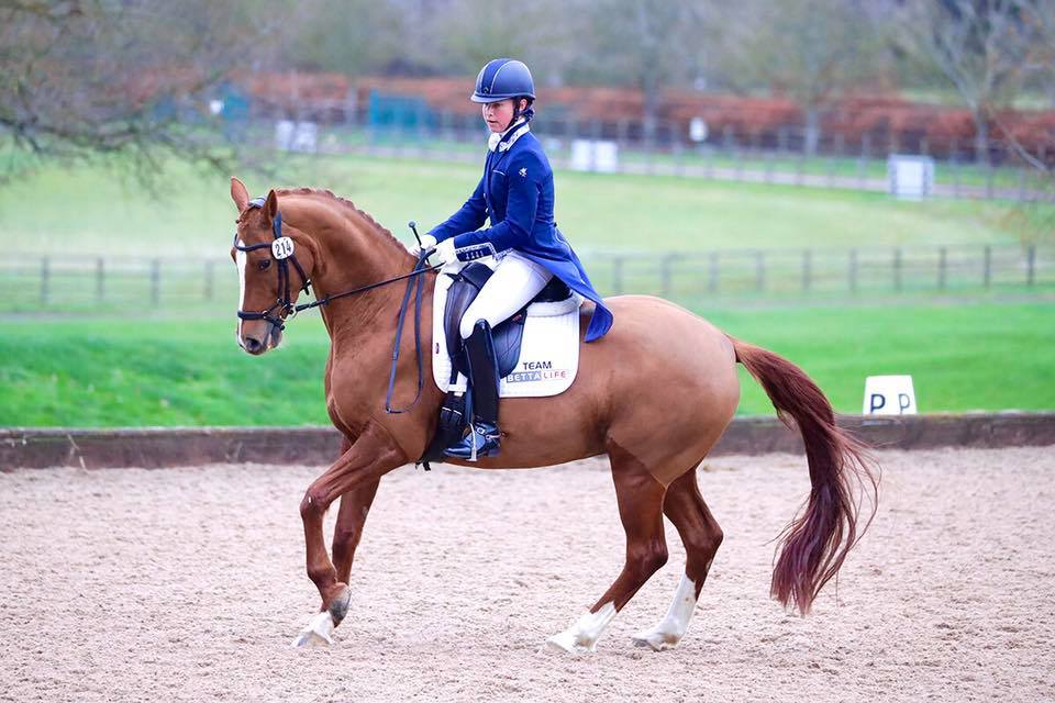 End Of Year Update From Pip Blain