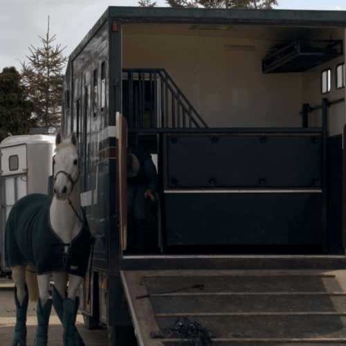 Travelling horses