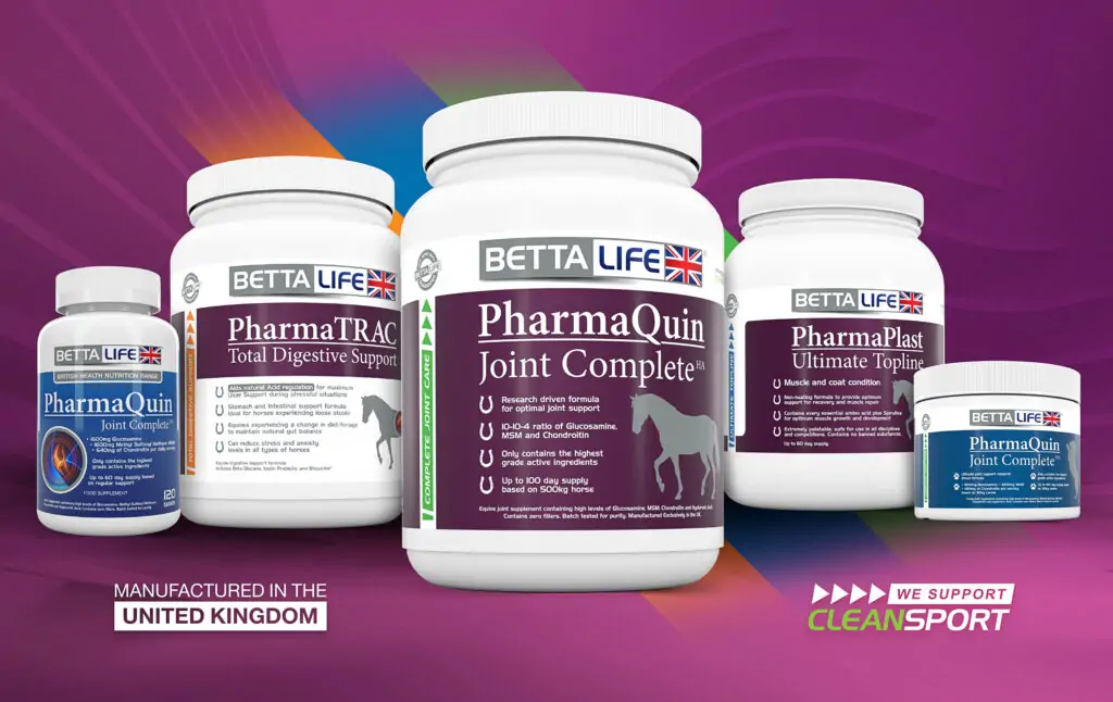 BETTALIFE EDITORIAL GROUP IMAGE