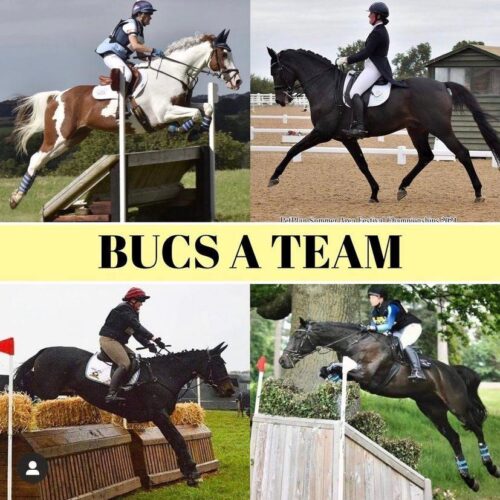 lincoln equestrian team