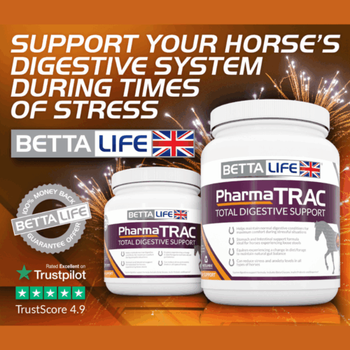 TRAC Equine FIreworks