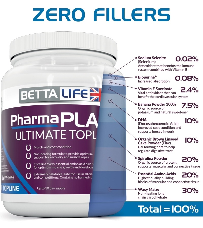 BETTALIFE CONTENT GRAPHIC PLAST 2022