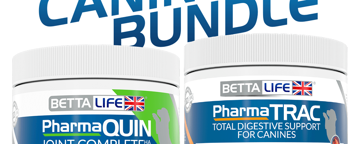 Canine Bundle Lead