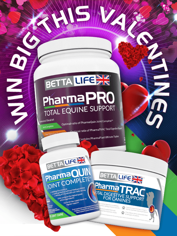 Valentines Newsletter 1