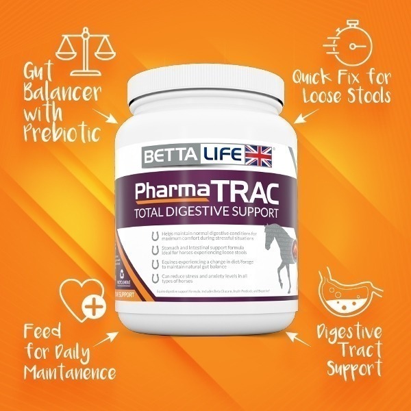 310320693 2921521508155432 8000195932996664736 n