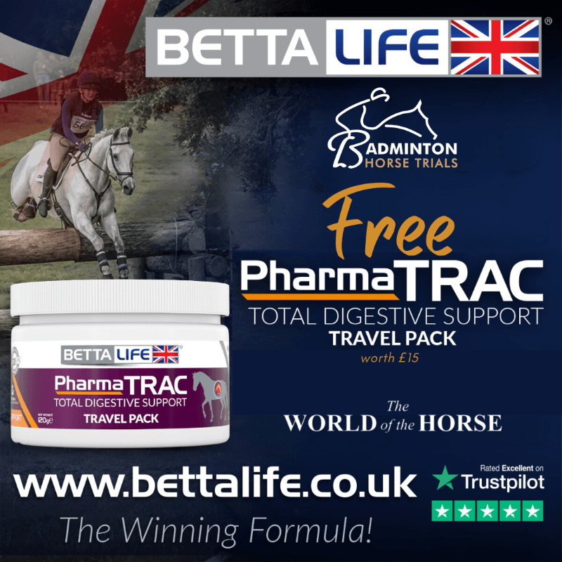 BE Post April23 Badminton small