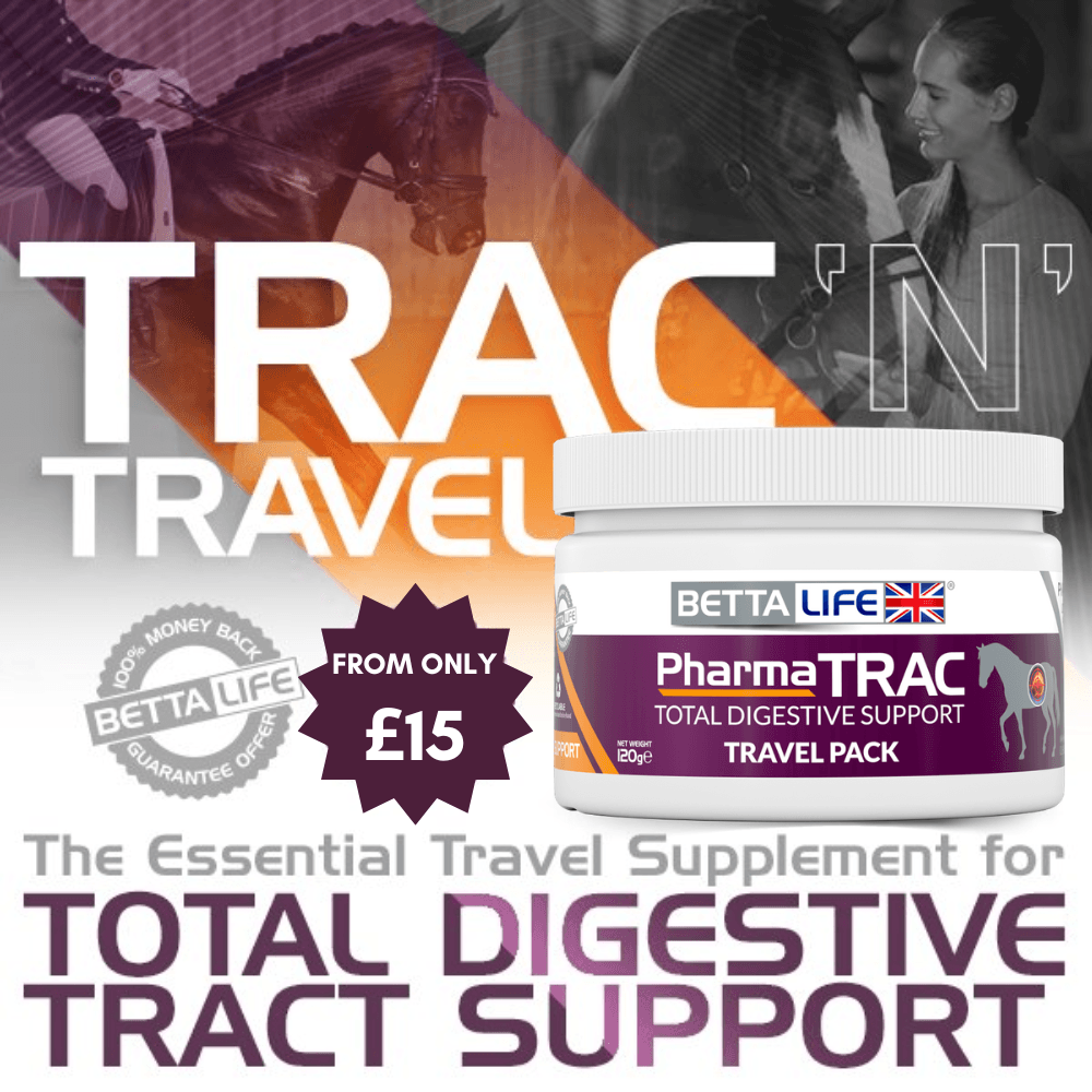Travel Your Horse in Comfort With PharmaTRAC