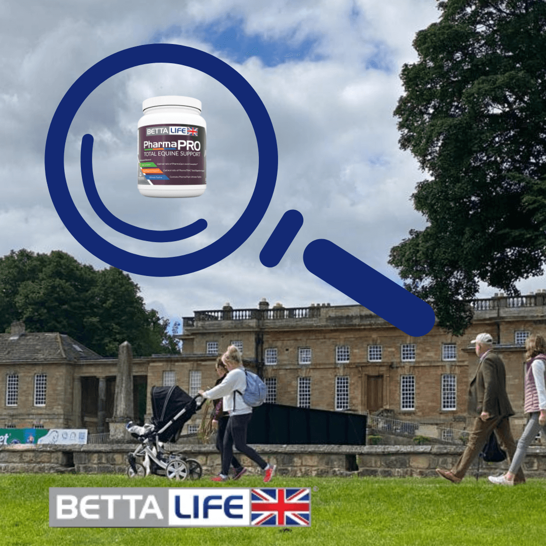 Visit us at Bramham Horse Trials BETTALIFE®