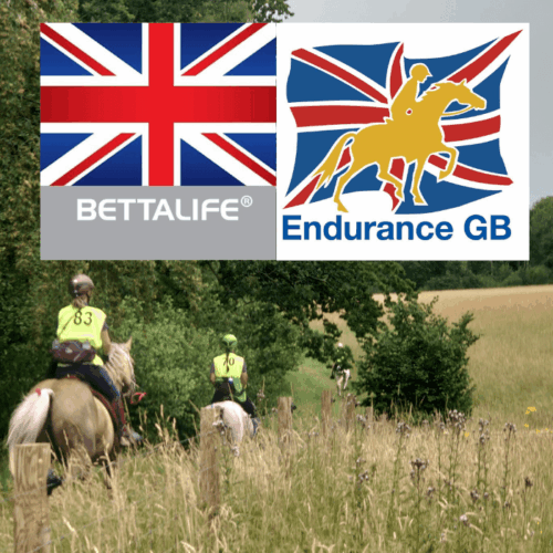 BL Endurance GB