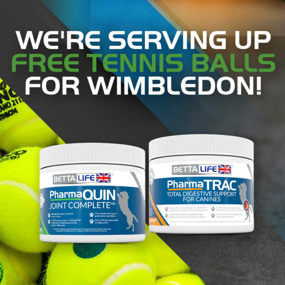 We’re Serving Up Tennis Balls for Wimbledon