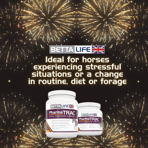 TRAC Fireworks Teaser 2023