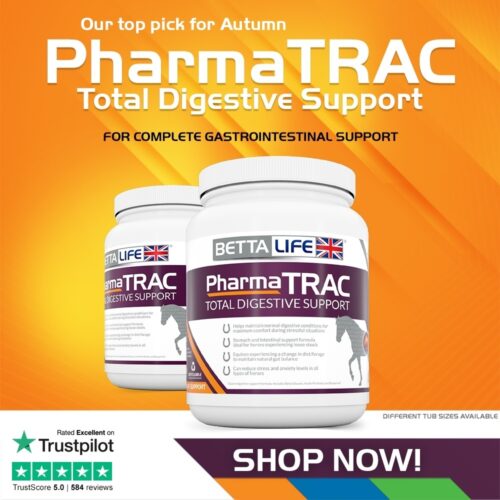 autumn trac upsell shop now square