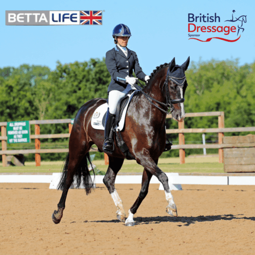 BETTALIFE BD Sponsor 2024