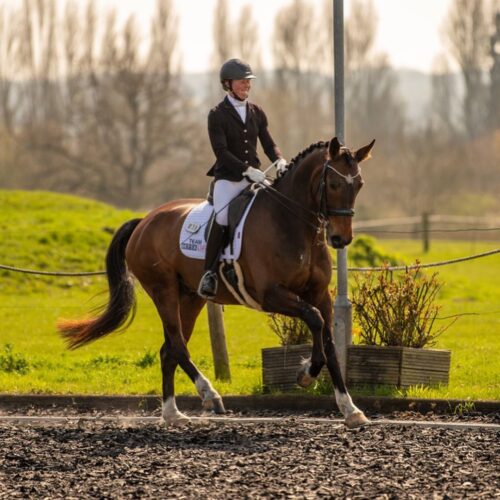 Pip Blain Square Cover Blog