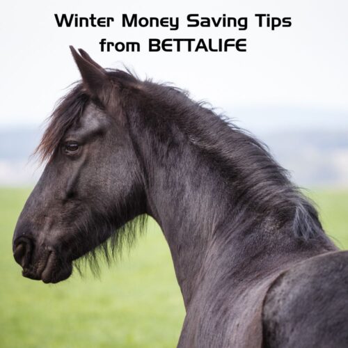 Money Saving Tips from BETTALIFE Blog