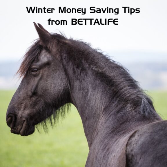 Winter Money Saving Tips
