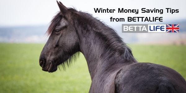 Money Saving Tips from BETTALIFE