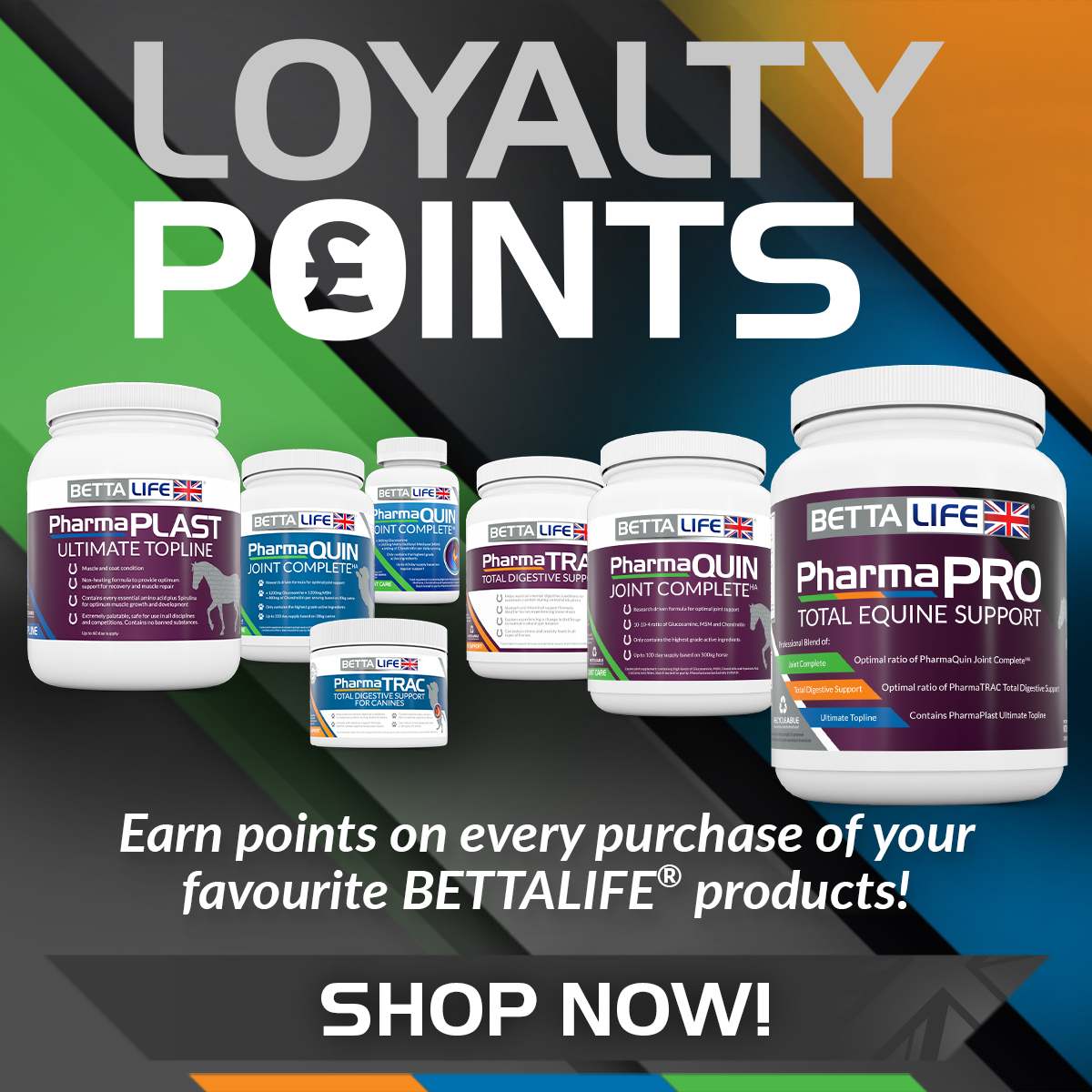 Loyalty Points Square
