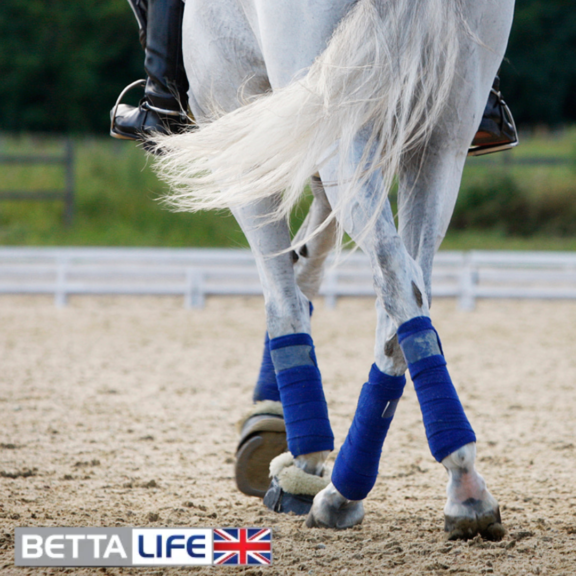 Does My Horse Need a Joint Supplement?