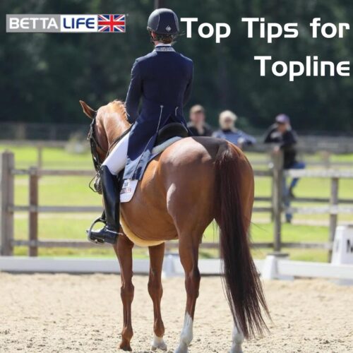 Top Tips Toplins 2024