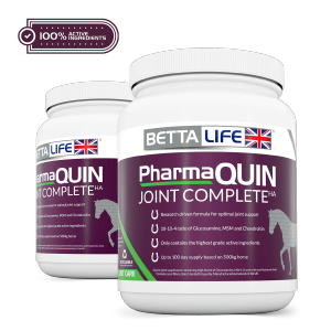 PharmaQuin Equine Lead Active