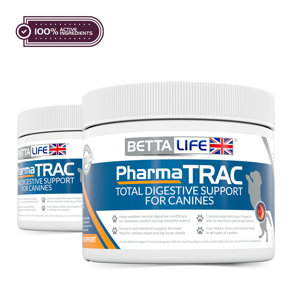 PharmaTrac Canine Lead Active