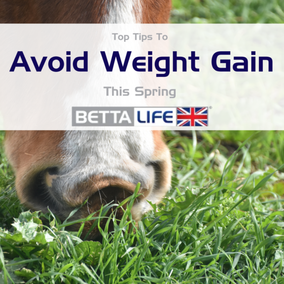 Top Tips to Avoid Spring Weight Gain