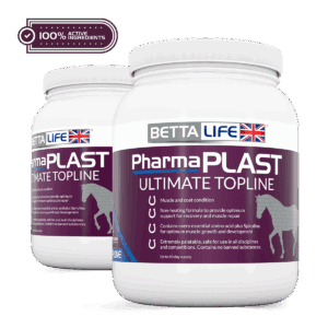 PharmaPlast Equine Lead Active
