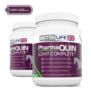 PharmaQuin Equine Lead Active
