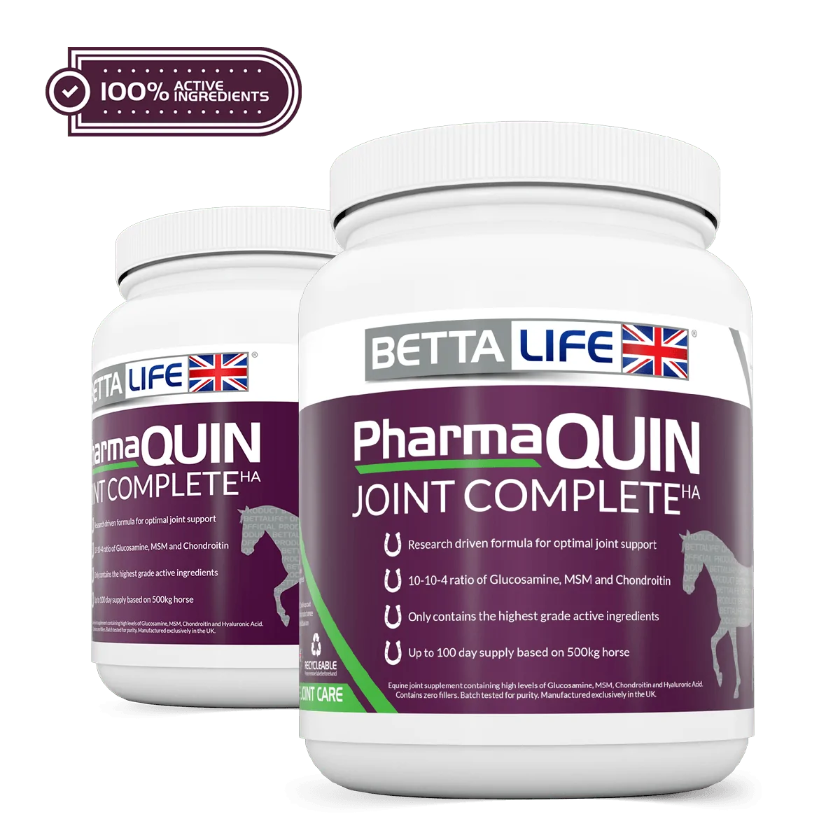 PharmaQuin Equine Lead Active