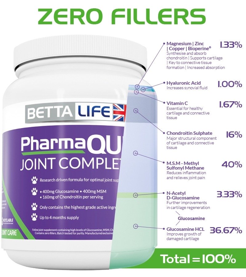 QUIN FELINE CONTENT GRAPHIC