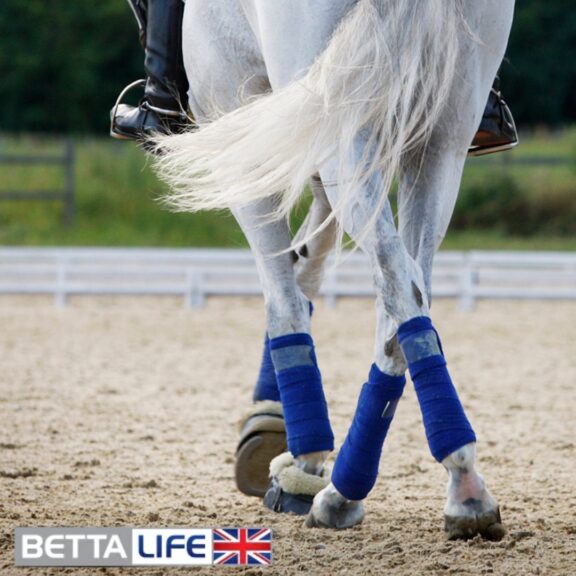 Do You Know if Your Horse Needs a Joint Supplement?