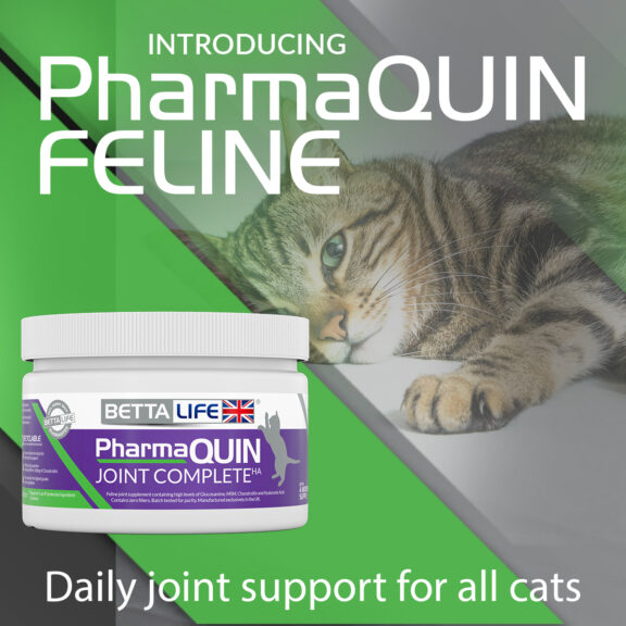 Introducing PharmaQuin Feline