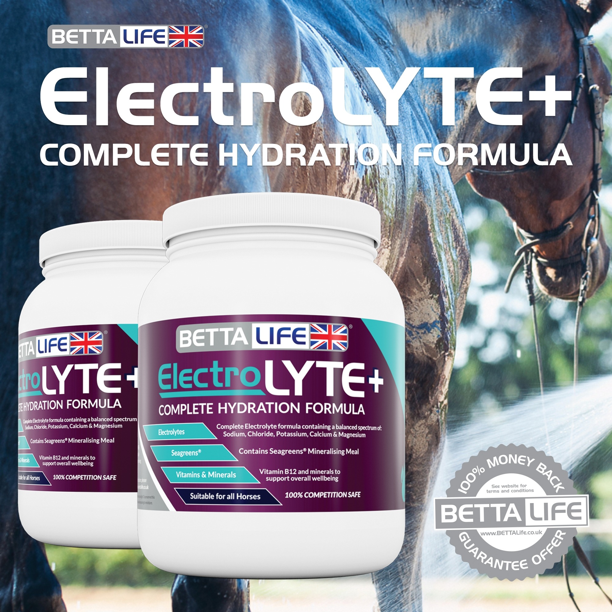 ElectroLyte Featured Animal