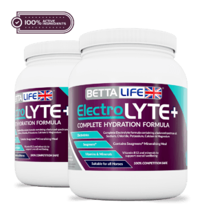 ElectroLyte Lead Active 24