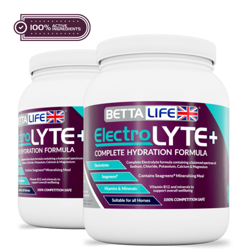 ElectroLyte Lead Active 24