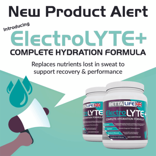 New Product Alert Blog Cover