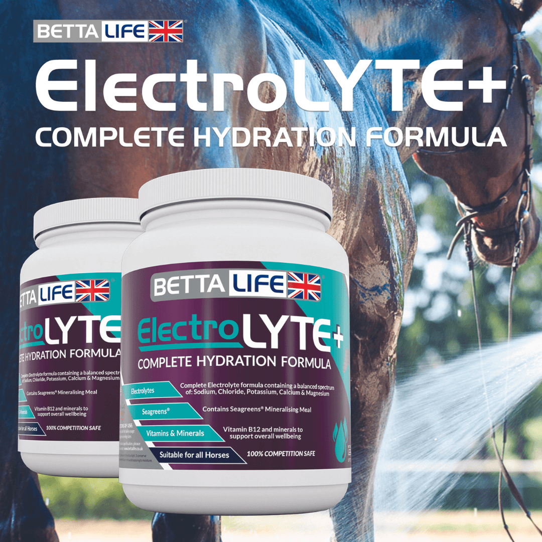 We Answer Your ElectroLYTE+ FAQs