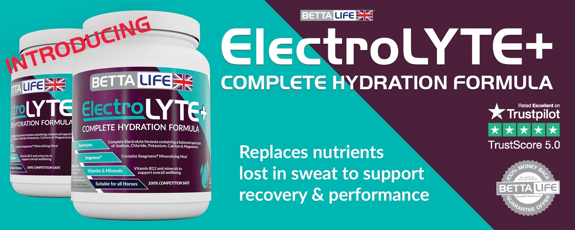 electrolyte launch desktop
