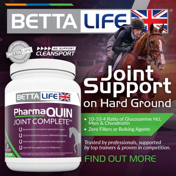 Support Your Horse’s Joints on Hard Ground