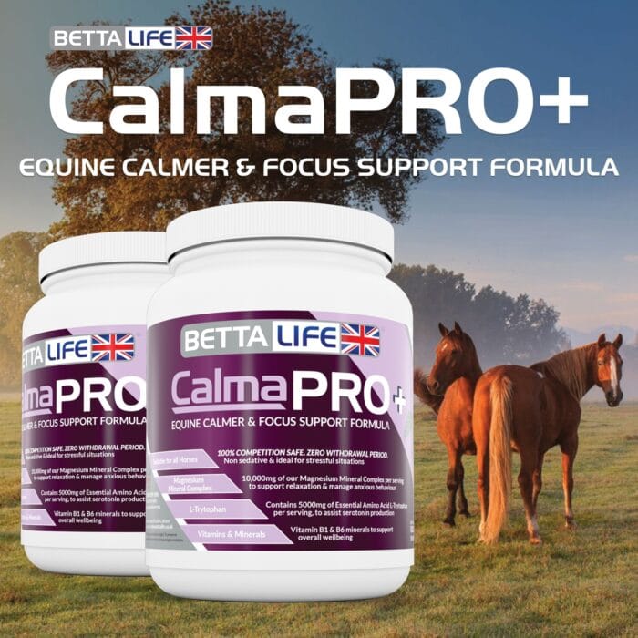 CalmaPro Featured Animal