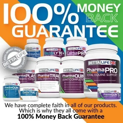 Money Back Square 24
