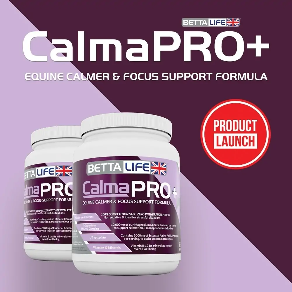 calmapro launch social square new