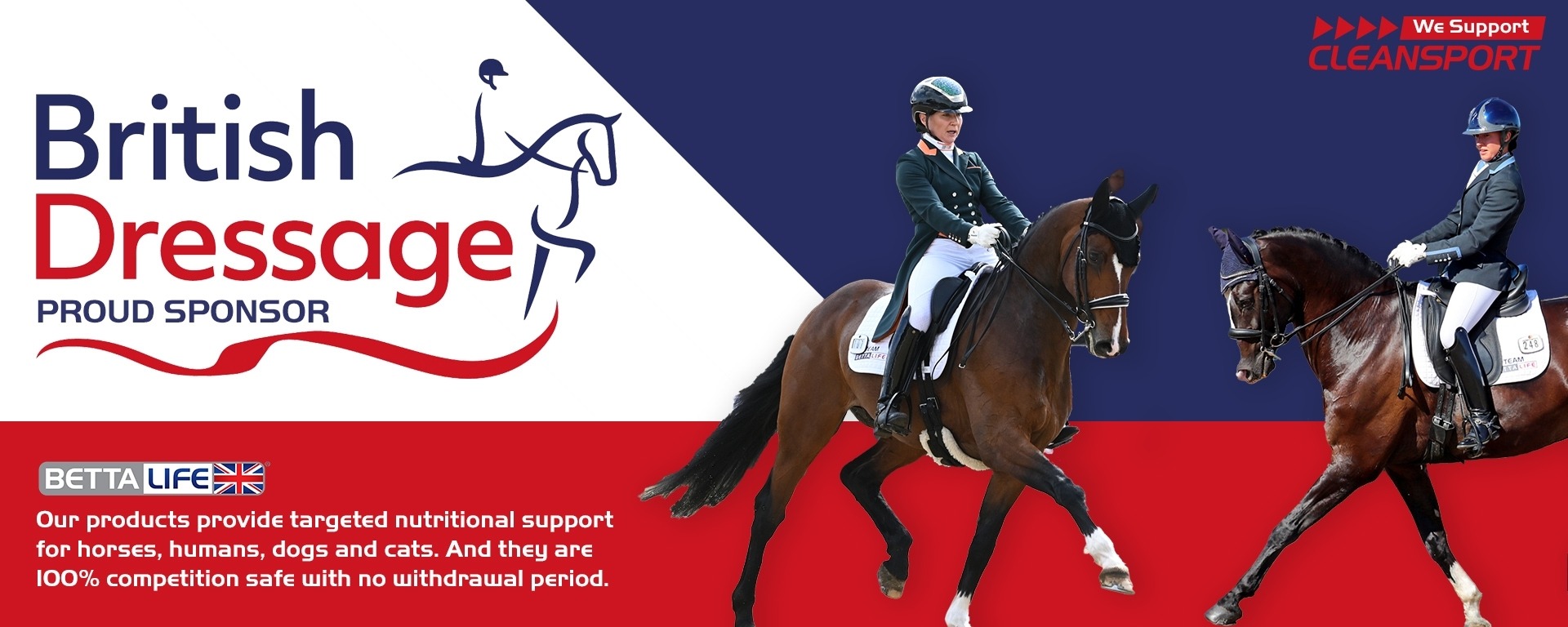 british dressage desktop