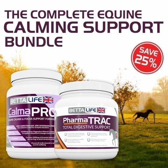 Introducing The Complete Equine Calming Support Bundle