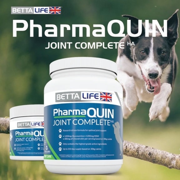 5 Things You Might Not Know About Our Dog Joint Supplement