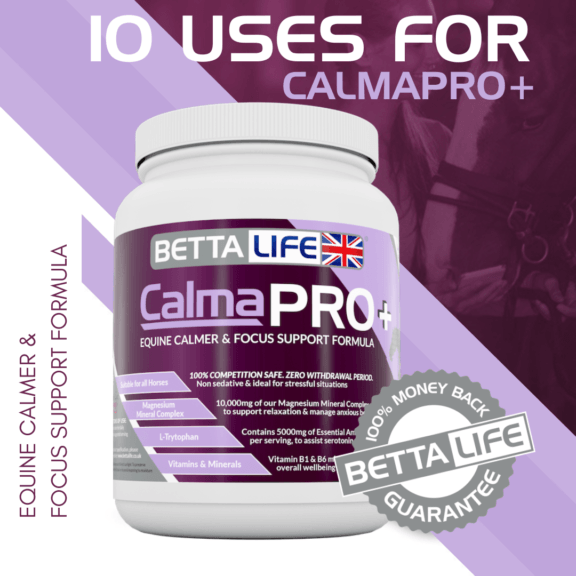 10 Uses for CalmaPRO+ Equine Calmer & Focus Support Formula