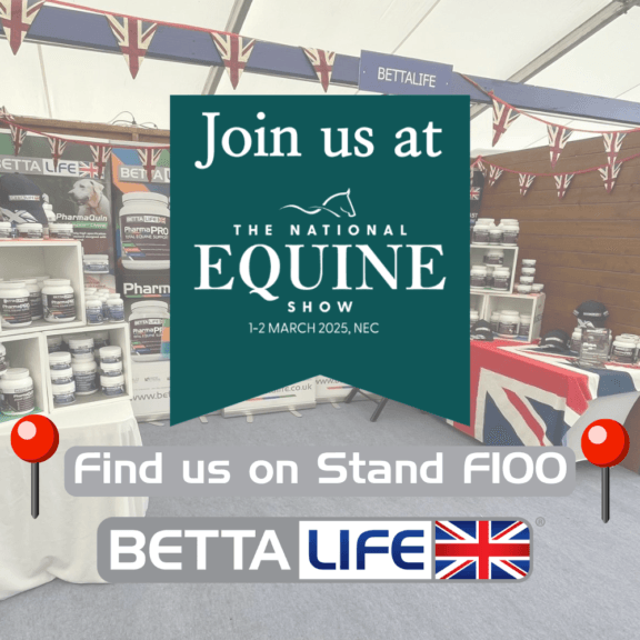 Join Us At The National Equine Show